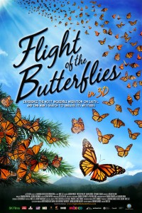 butterflies